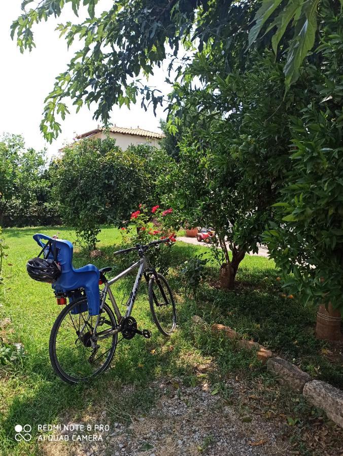 Aloe Apartment In Epidaurus Ngoại thất bức ảnh