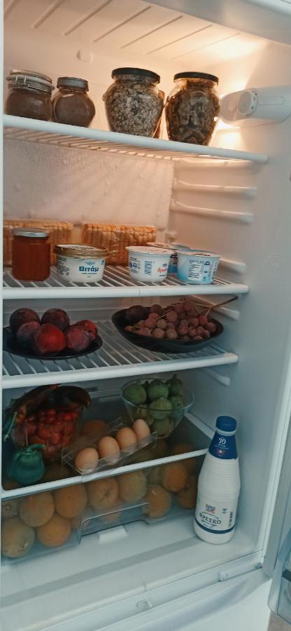 Aloe Apartment In Epidaurus Ngoại thất bức ảnh
